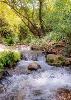 המלצת טיול - נחל כזיב